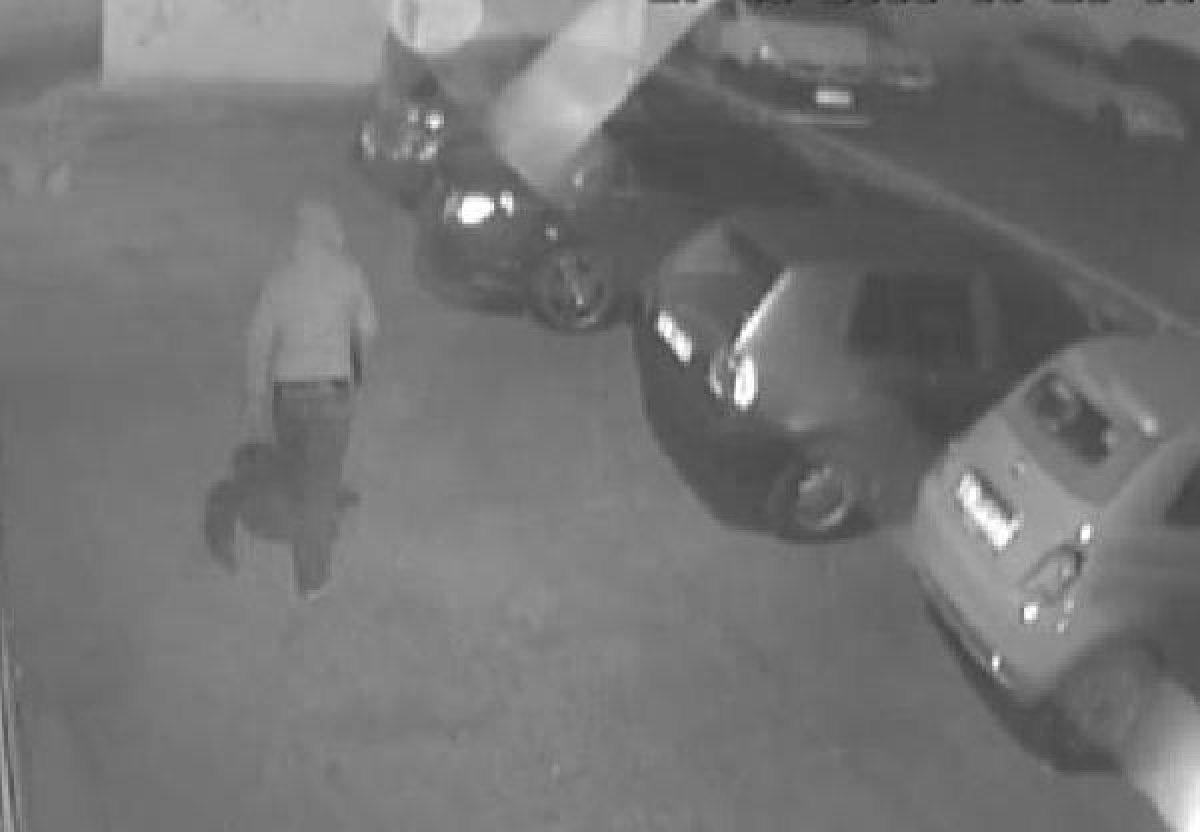 Kadiköy'de otomobil hırsızlarına yapılan operasyon