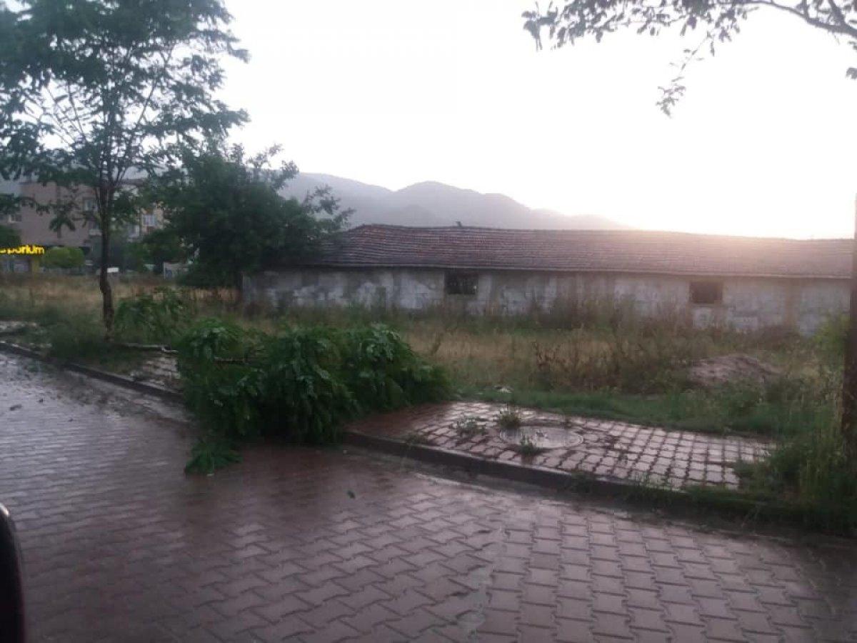 Bilecik'te şiddetli rüzgar ağaçları kökünden söktü