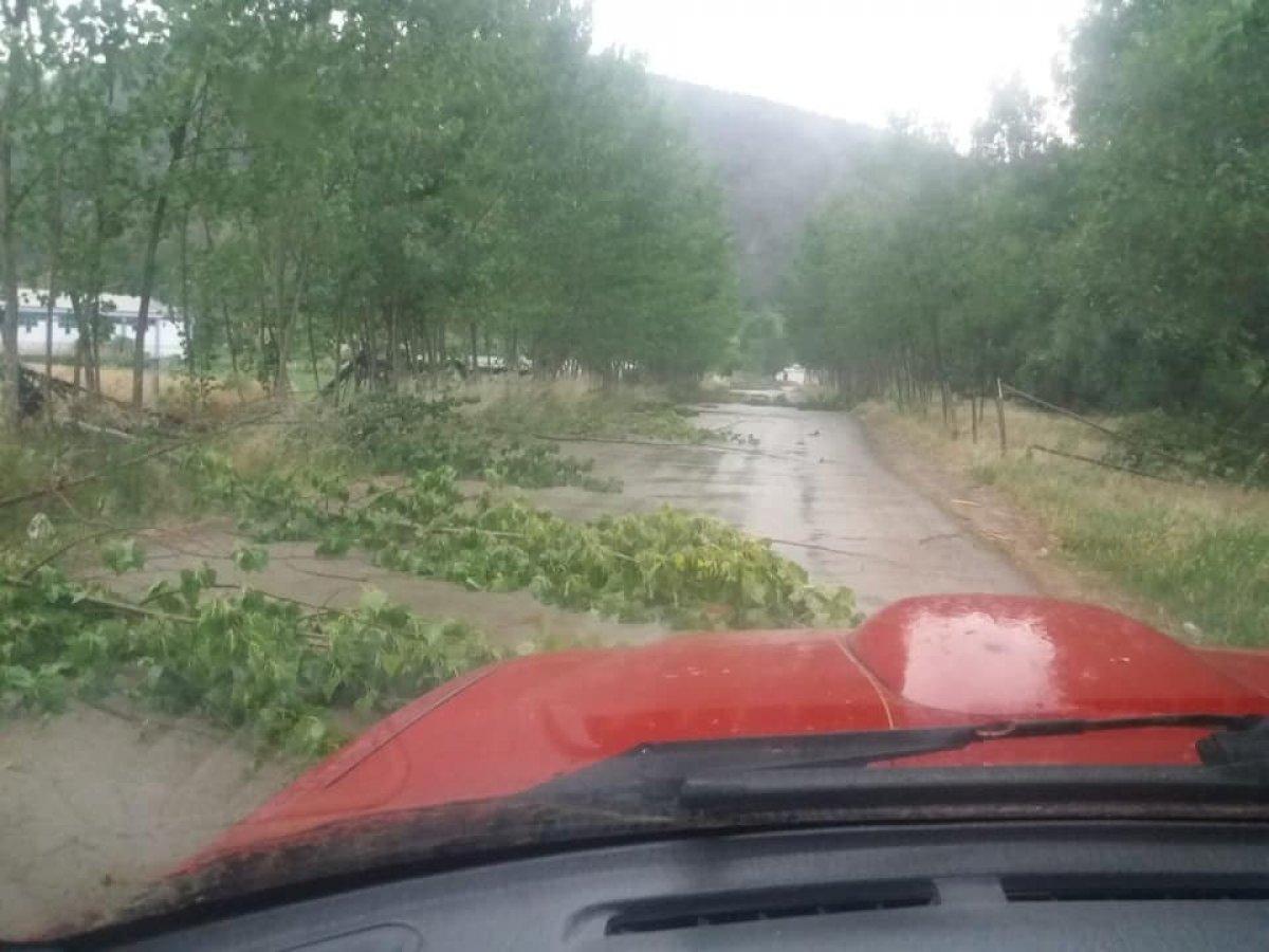 Bilecik'te şiddetli rüzgar ağaçları kökünden söktü