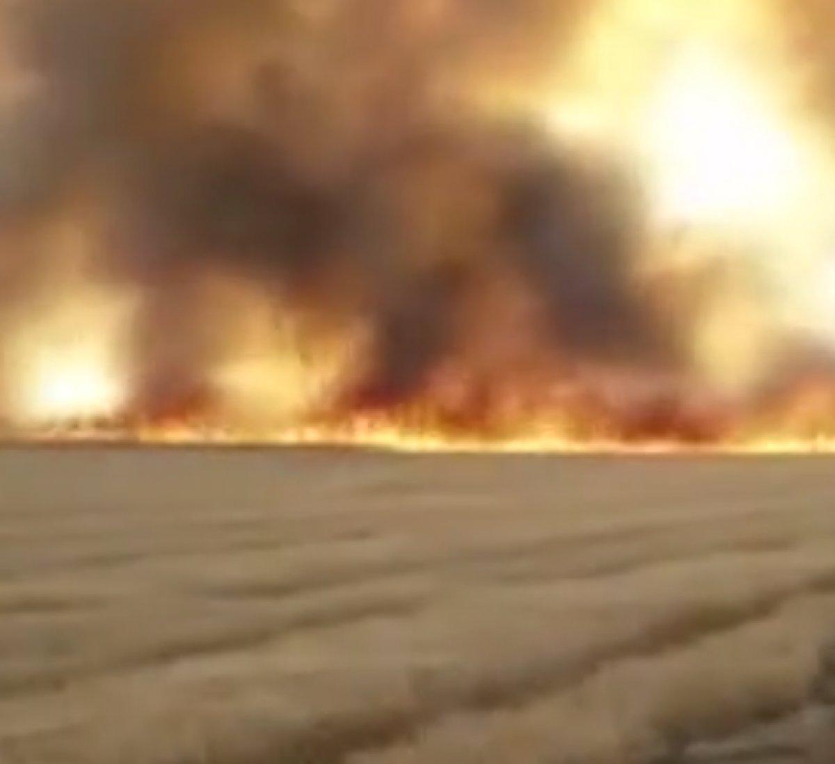 YPG/PKK Resulayn'da, 20 bin dönüm tarım arazisini yaktı