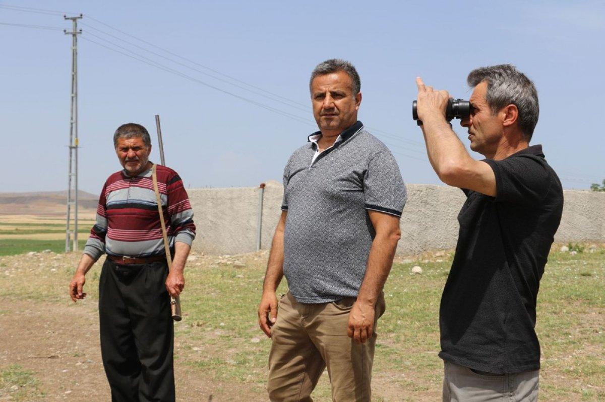 Çorum'da köylülerin 'aslan' korkusu devam ediyor