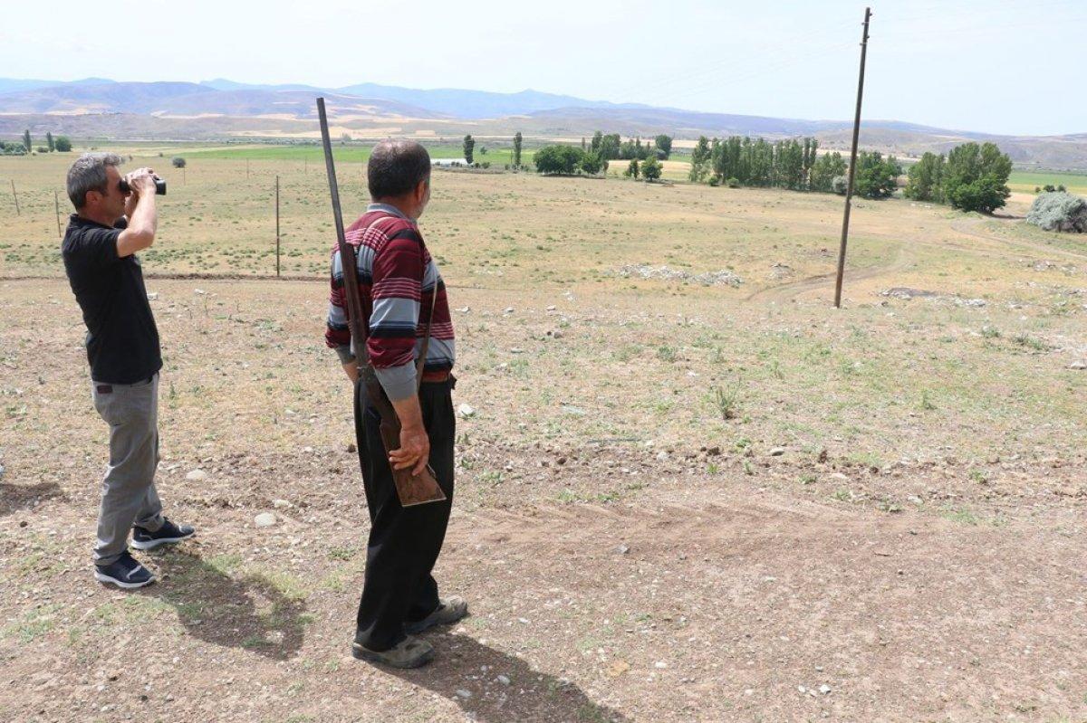 Çorum'da köylülerin 'aslan' korkusu devam ediyor