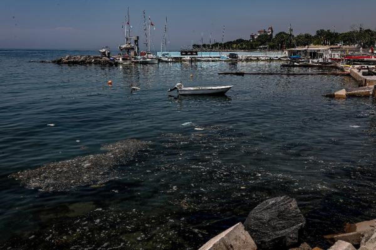 Caddebostan Sahili'nde denizin kıyısı pislik içinde