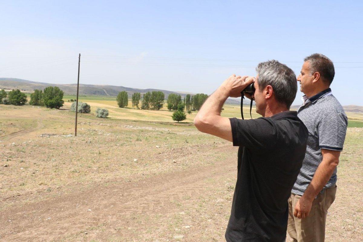 Çorum'da köylülerin 'aslan' korkusu devam ediyor