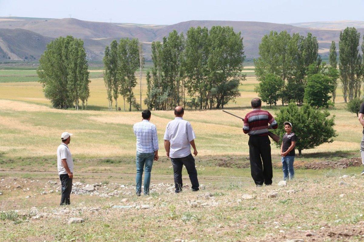 Çorum'da köylülerin 'aslan' korkusu devam ediyor
