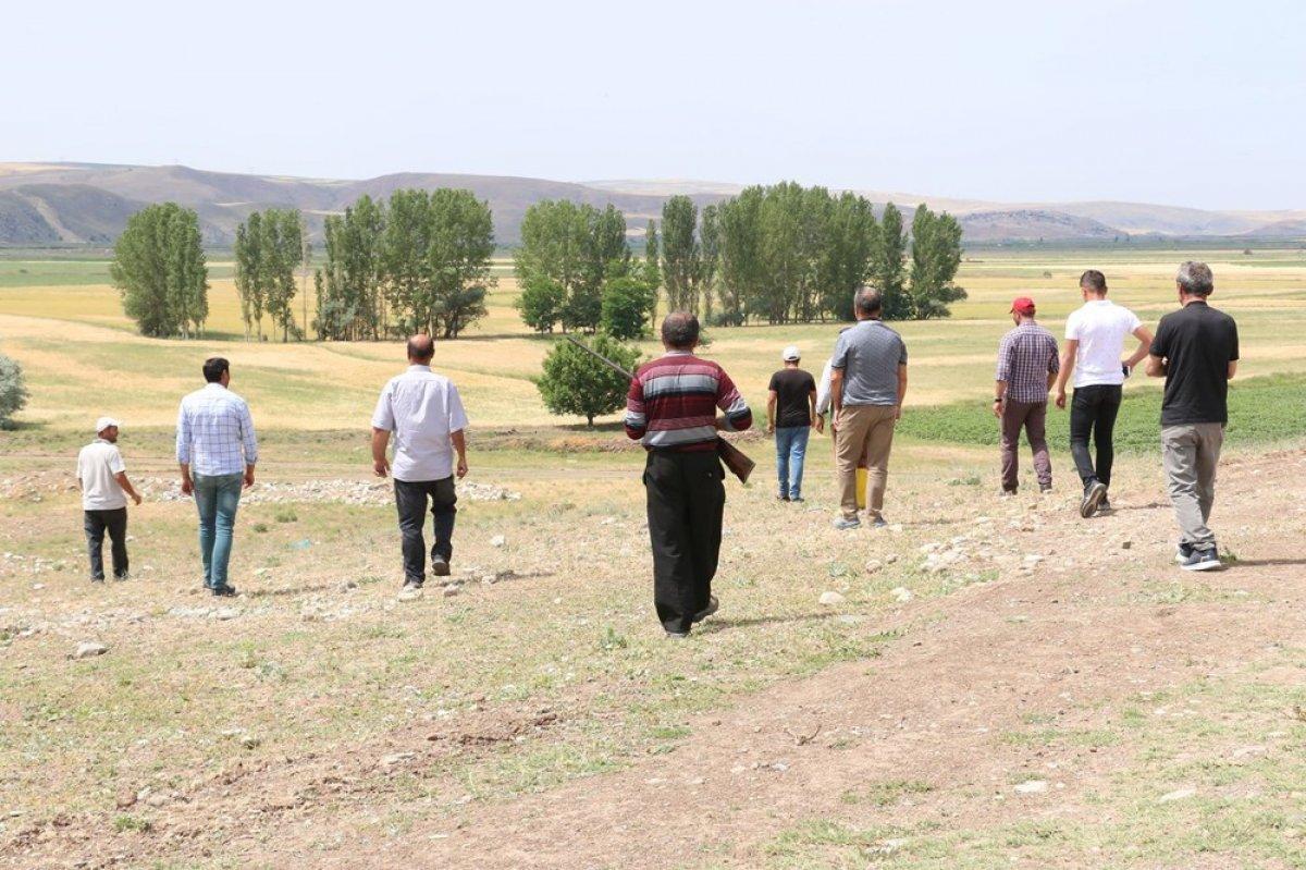 Çorum'da köylülerin 'aslan' korkusu devam ediyor