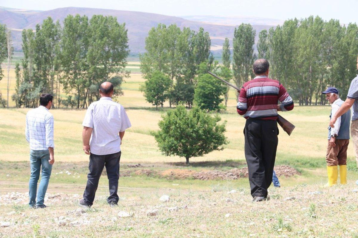 Çorum'da köylülerin 'aslan' korkusu devam ediyor