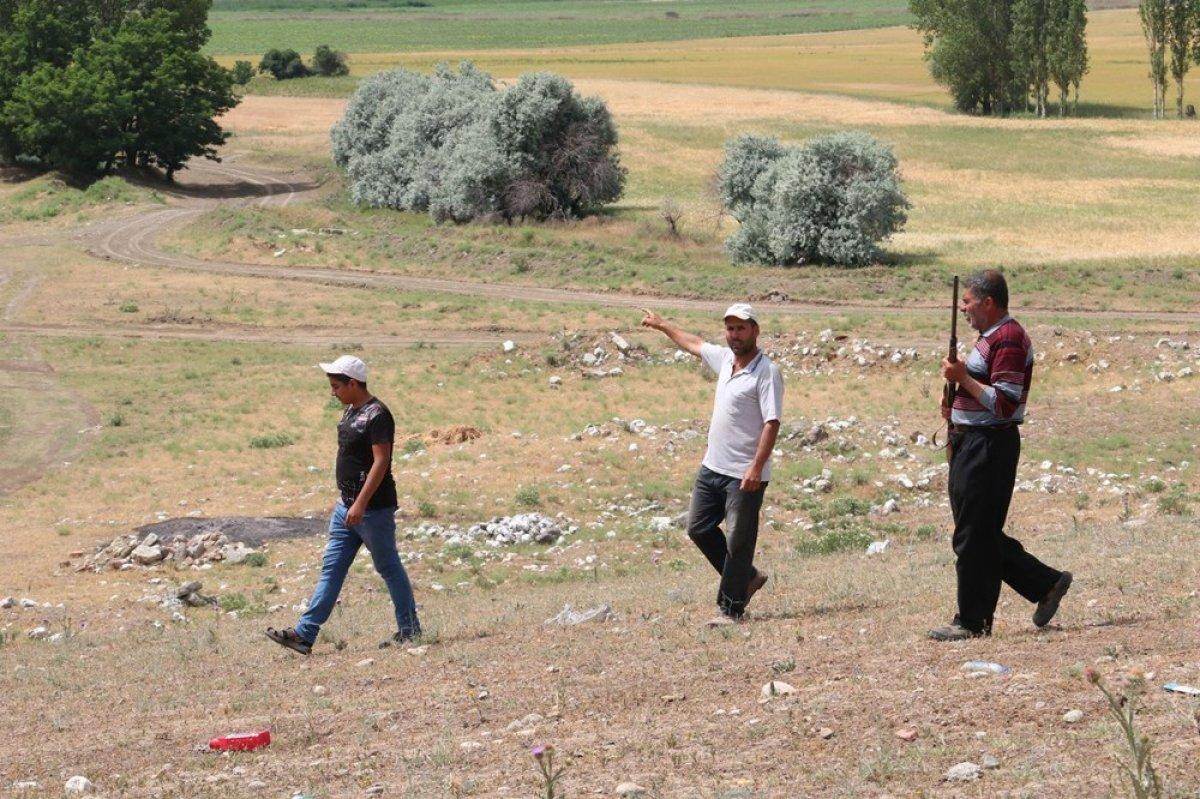 Çorum'da köylülerin 'aslan' korkusu devam ediyor