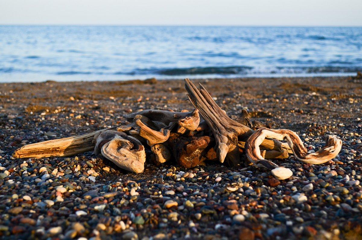 Sahilden topladığı ağaç parçalarını sanat eserine dönüştü