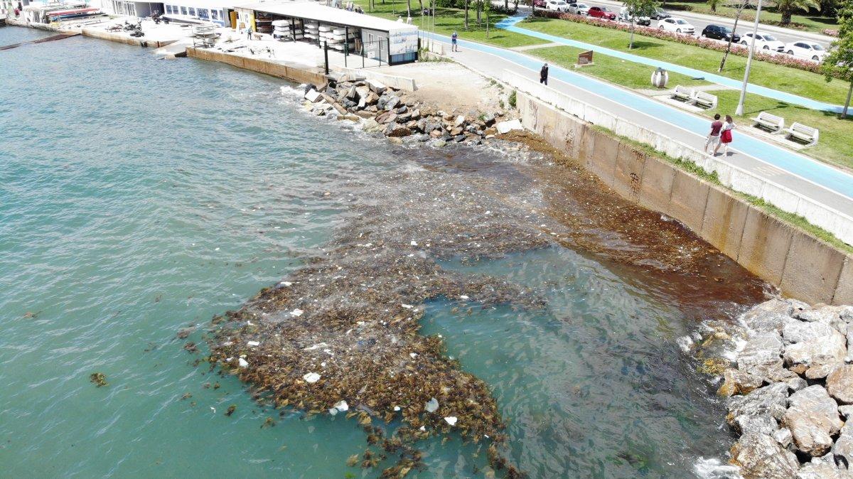Caddebostan Sahili'nde oluşan çöpler havadan görüntülendi