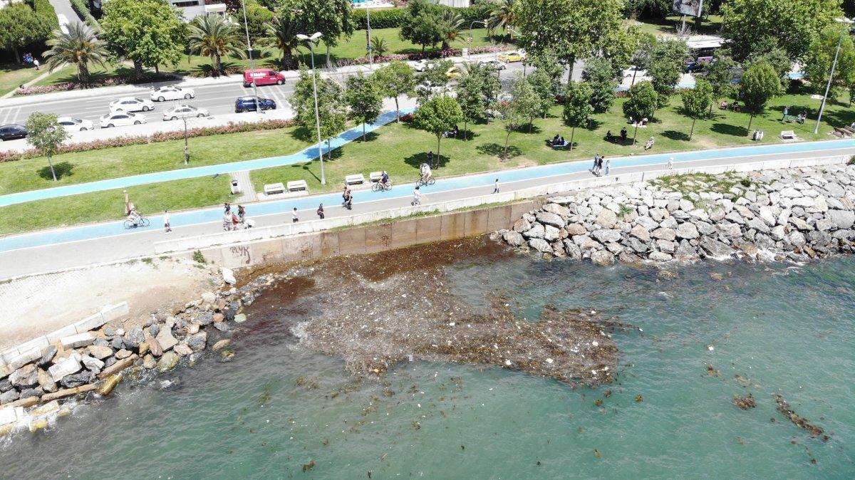 Caddebostan Sahili'nde oluşan çöpler havadan görüntülendi