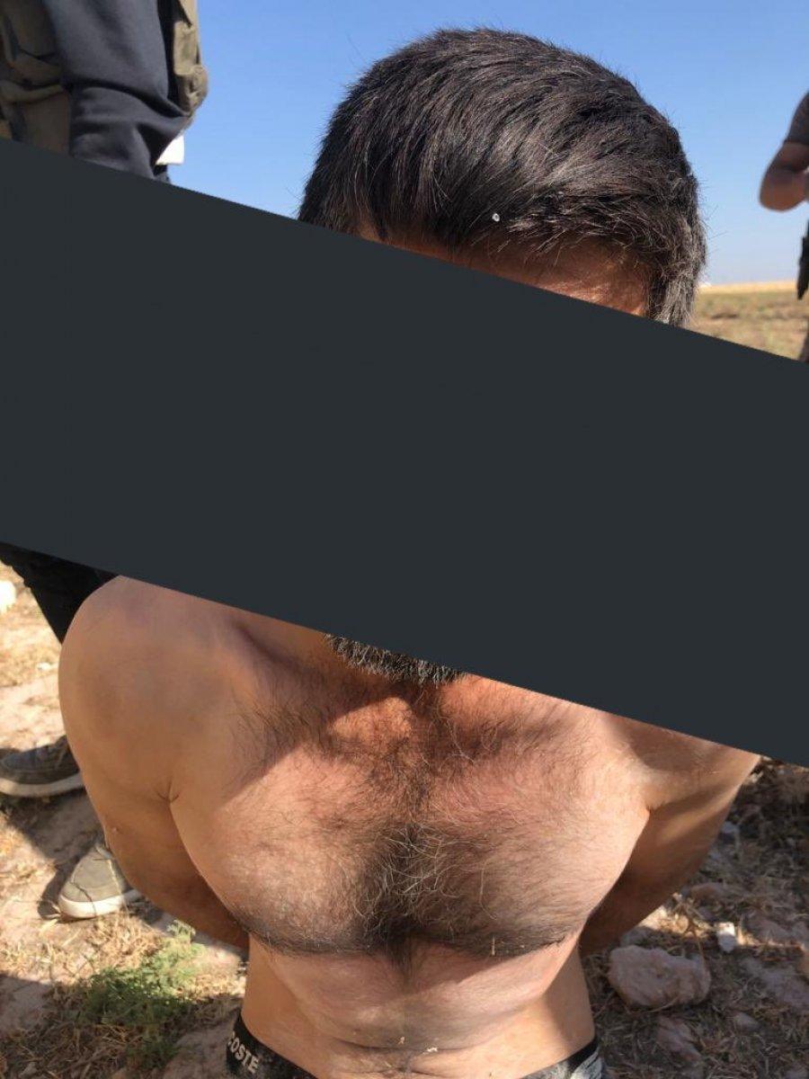 Şanlıurfa'da eylem hazırlığındaki terörist yakalandı