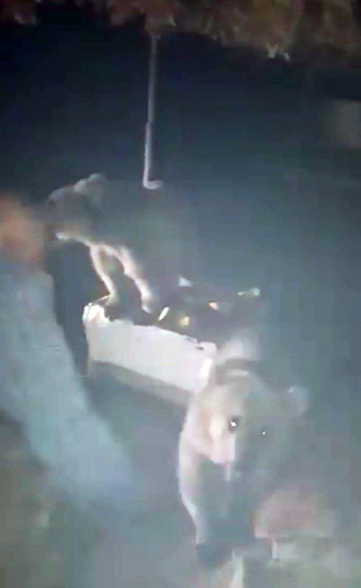 Bitlis'te piknikçilere ayı sürprizi