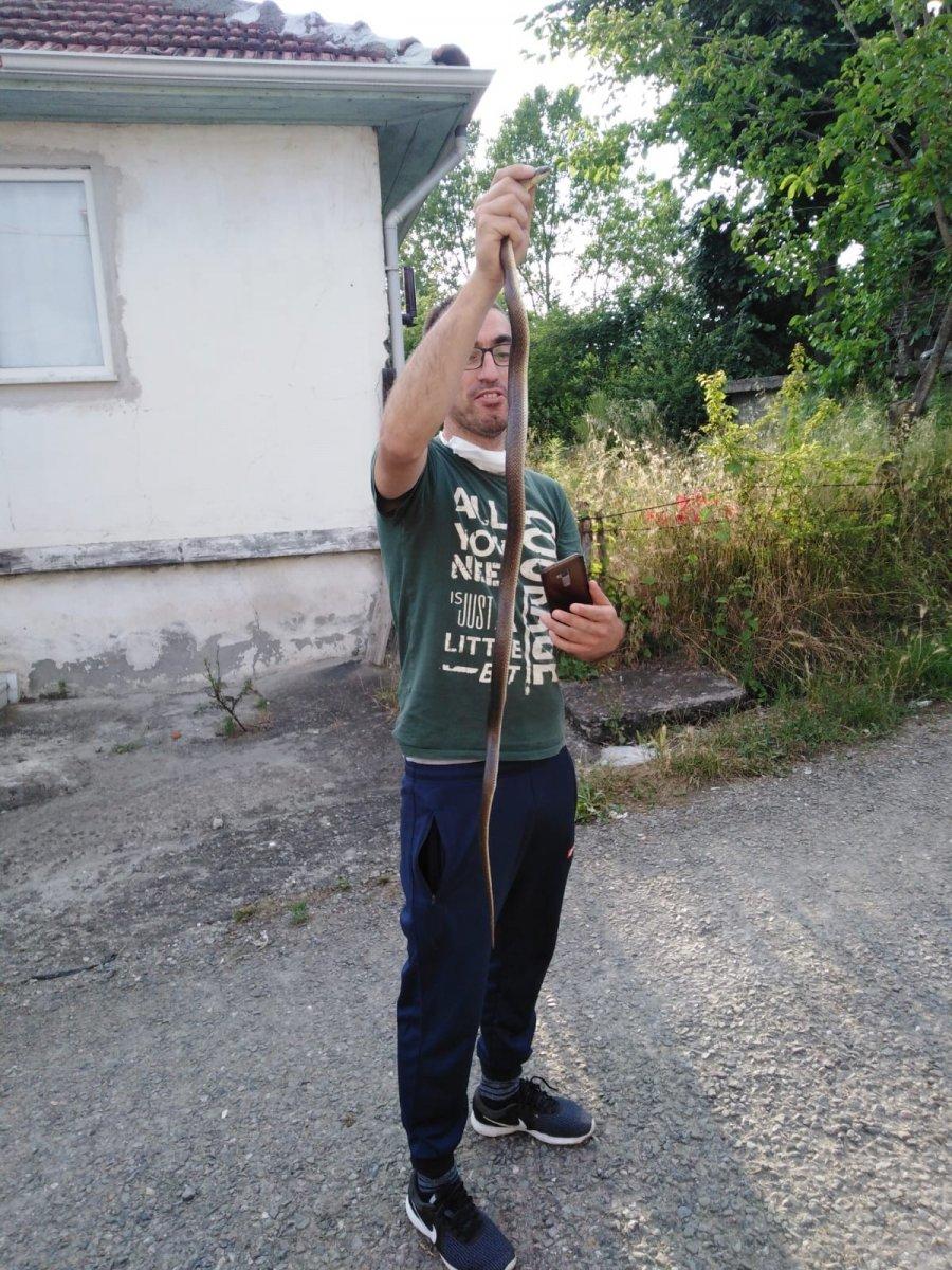 Zonguldak'ta kümesinde 1,5 metrelik yılan buldu
