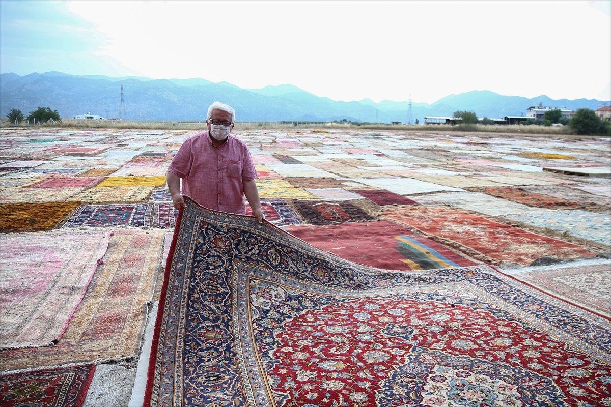 Antalya'da halı tarlalarının görsel şöleni