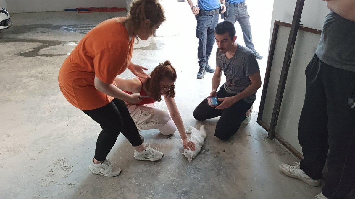 Düzce'de kediyi kurtarmak için kalp masajı yaptı