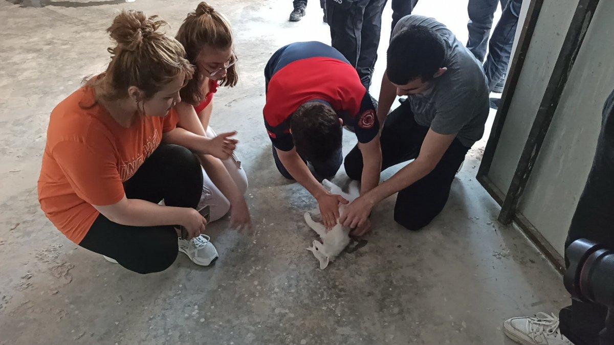 Düzce'de kediyi kurtarmak için kalp masajı yaptı