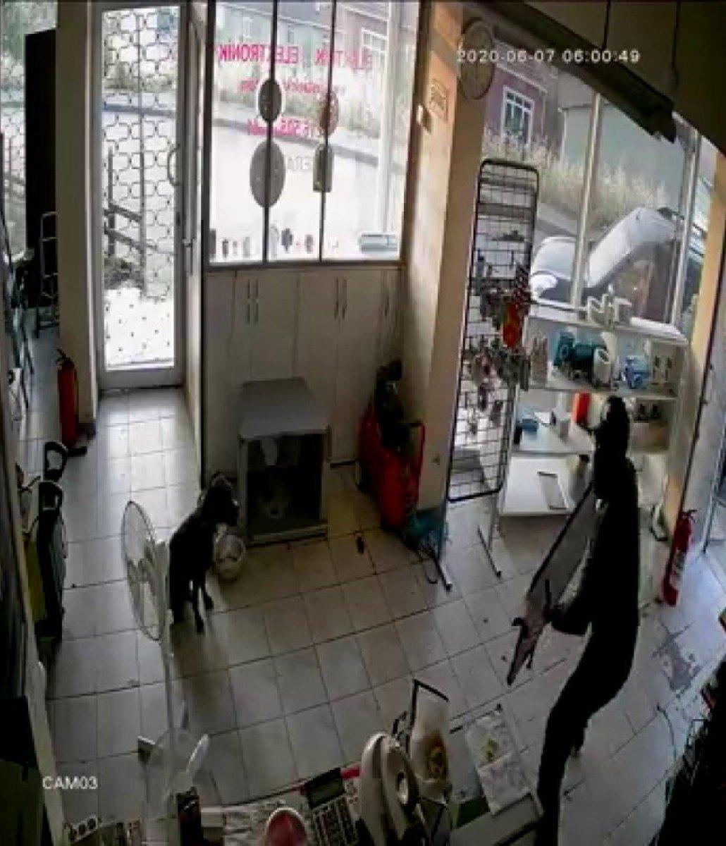 Üsküdar'da dükkana giren hırsızları izleyen köpek