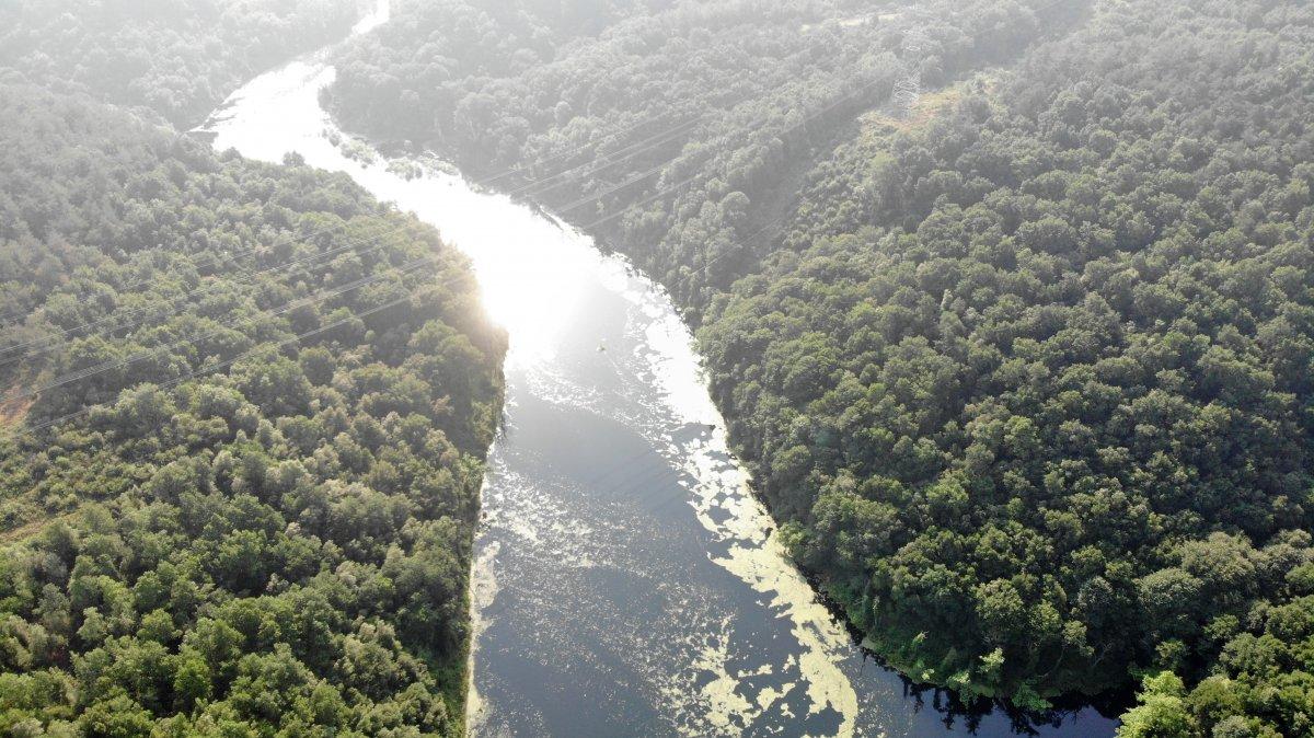 Elmalı Barajı, yeşil tabakayla kaplandı