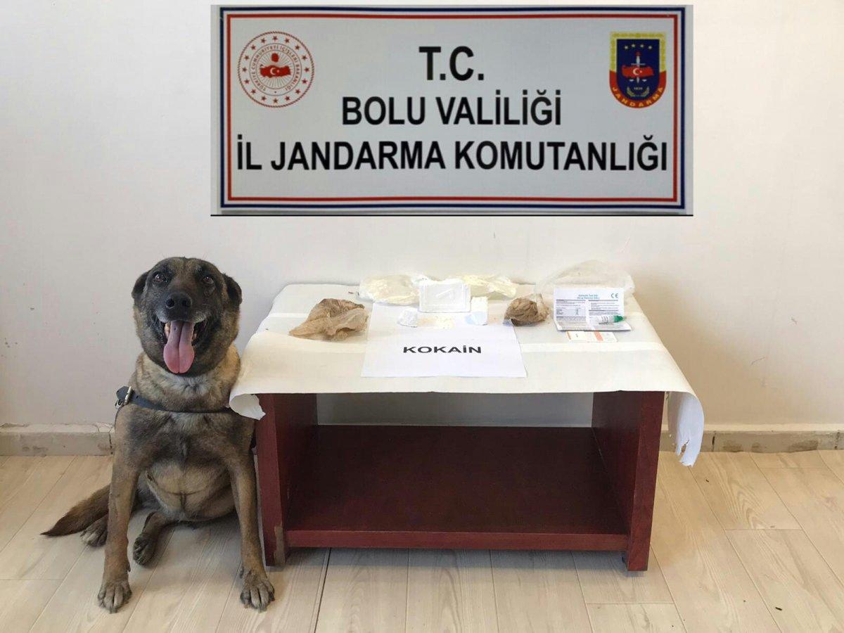 Bolu'da yolcu otobüsünde 360 gram kokain yakalandı