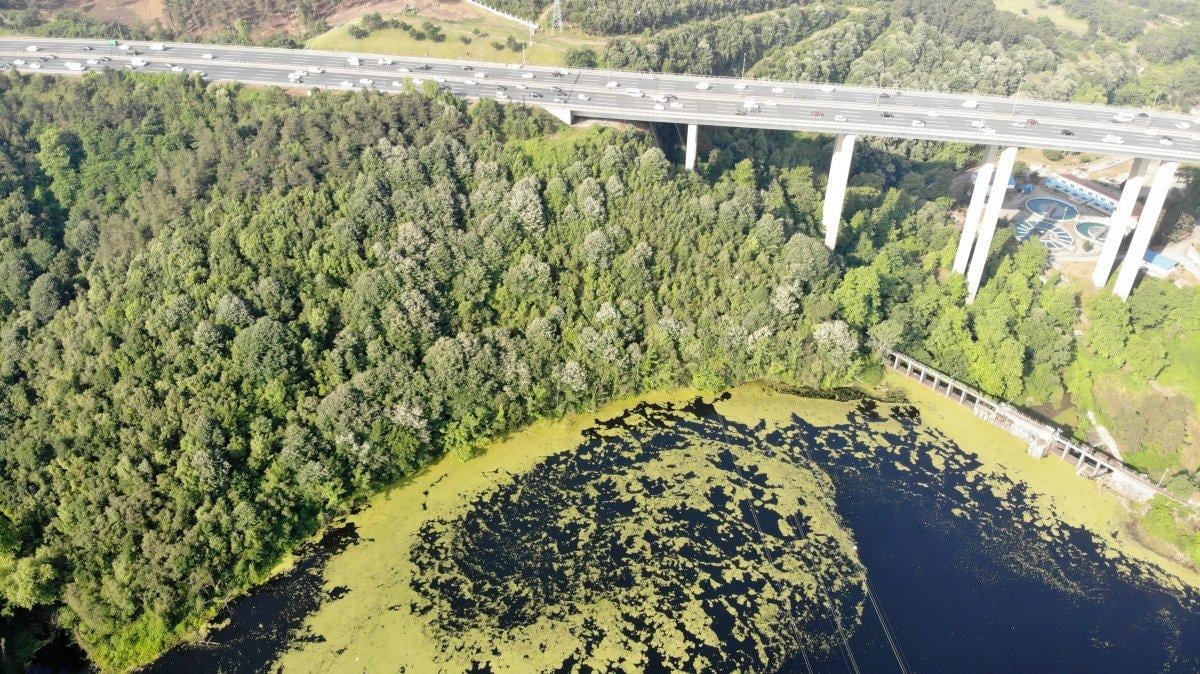 Elmalı Barajı, yeşil tabakayla kaplandı