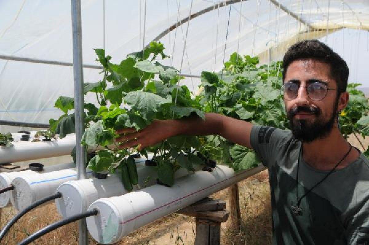 Tunceli'de tatili fırsat bildi, topraksız tarım yaptı