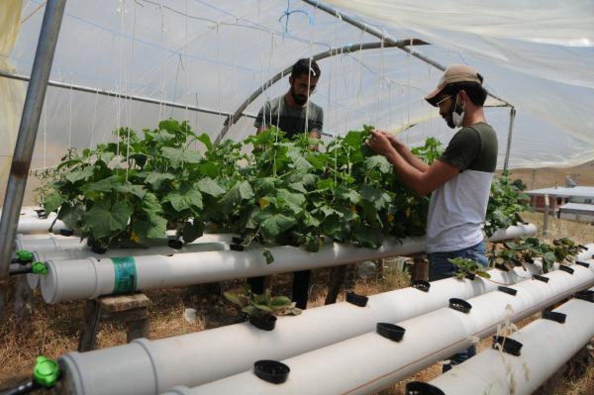 Tunceli'de tatili fırsat bildi, topraksız tarım yaptı