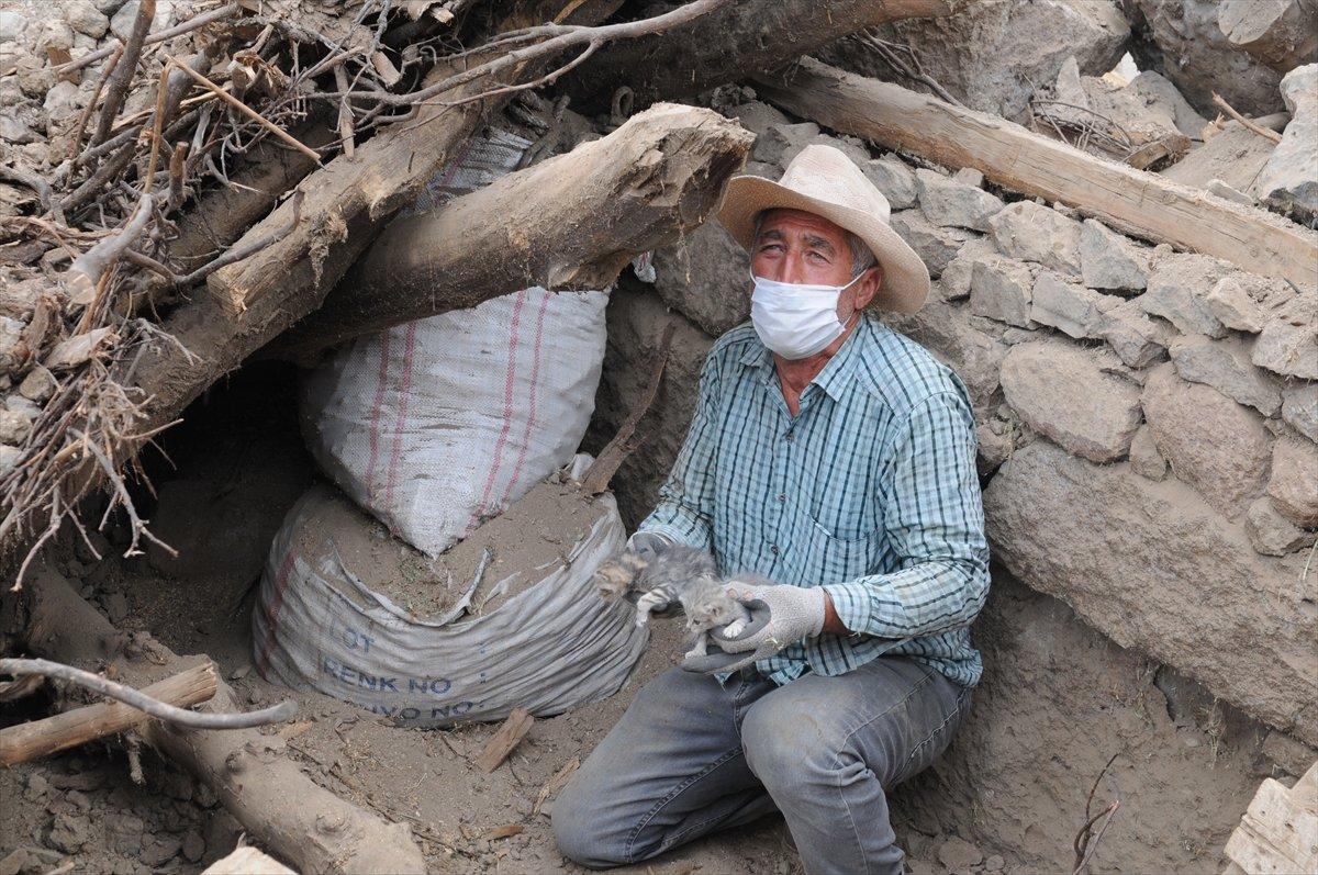 Depremden 5 gün sonra yavru kediler enkazdan sağ çıktı