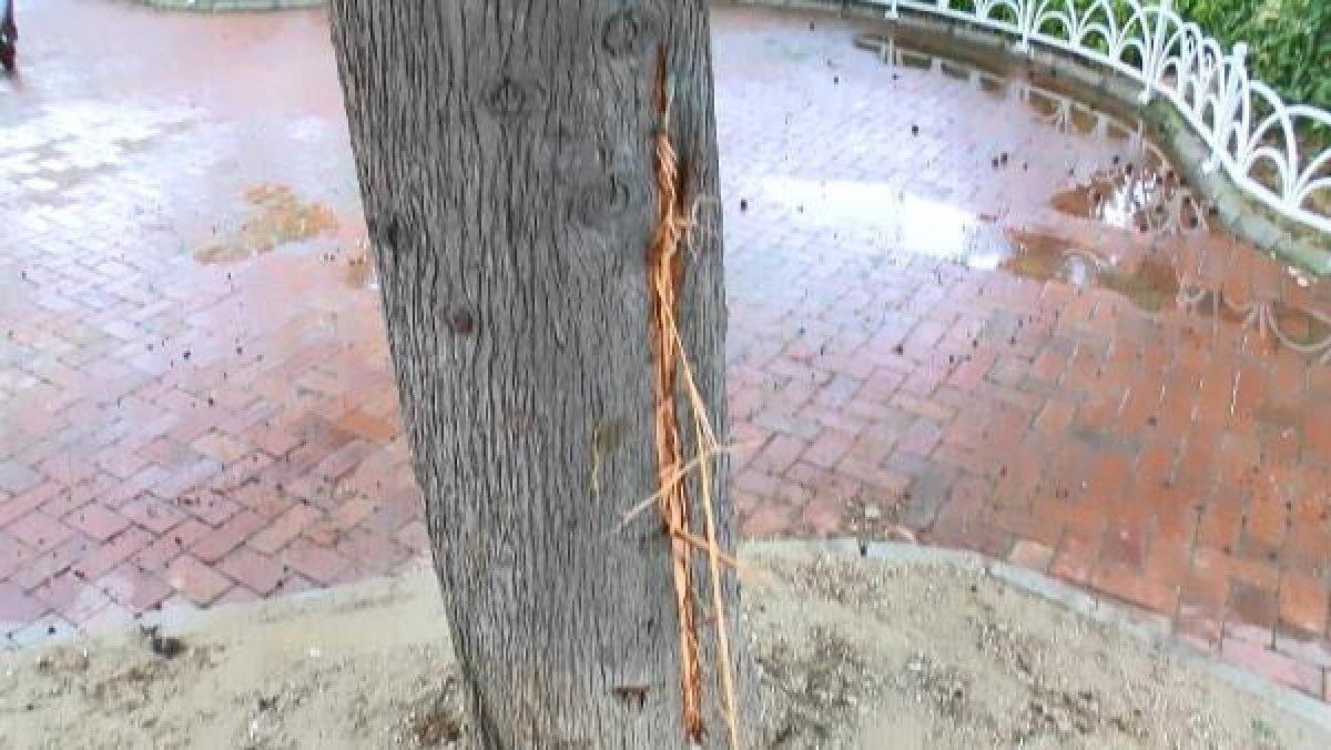 Büyükçekmece'de yıldırım çarpan yaşlı adam öldü