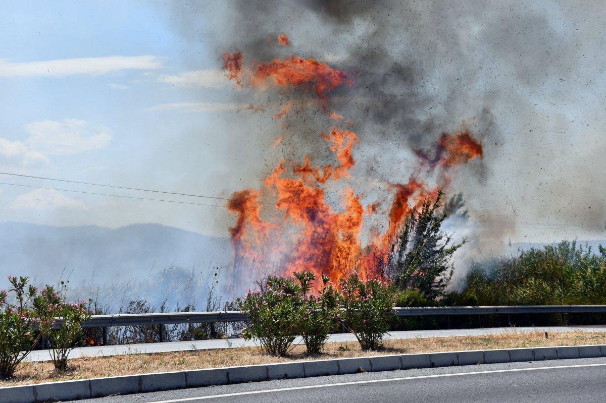 Söke’deki sazlık alanda yangın çıktı