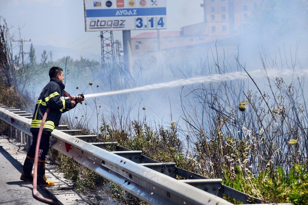 Söke’deki sazlık alanda yangın çıktı