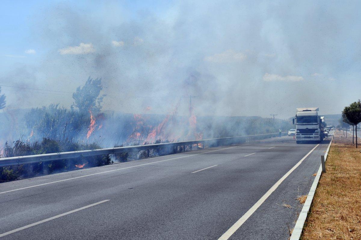 Söke’deki sazlık alanda yangın çıktı