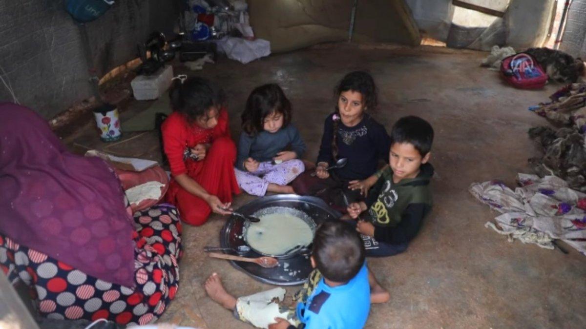 Türkiye'deki sığınmacılar evlerine dönmek istiyor