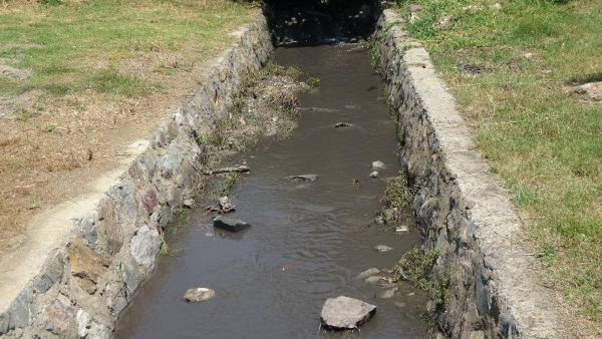 Kocaeli'de derenin kirlettiği plajda yüzdüler