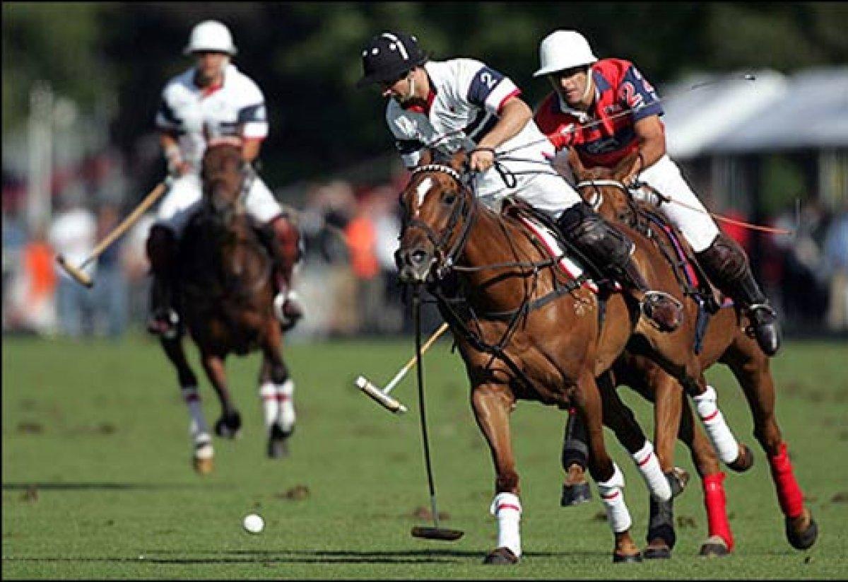 Polo sporu nedir