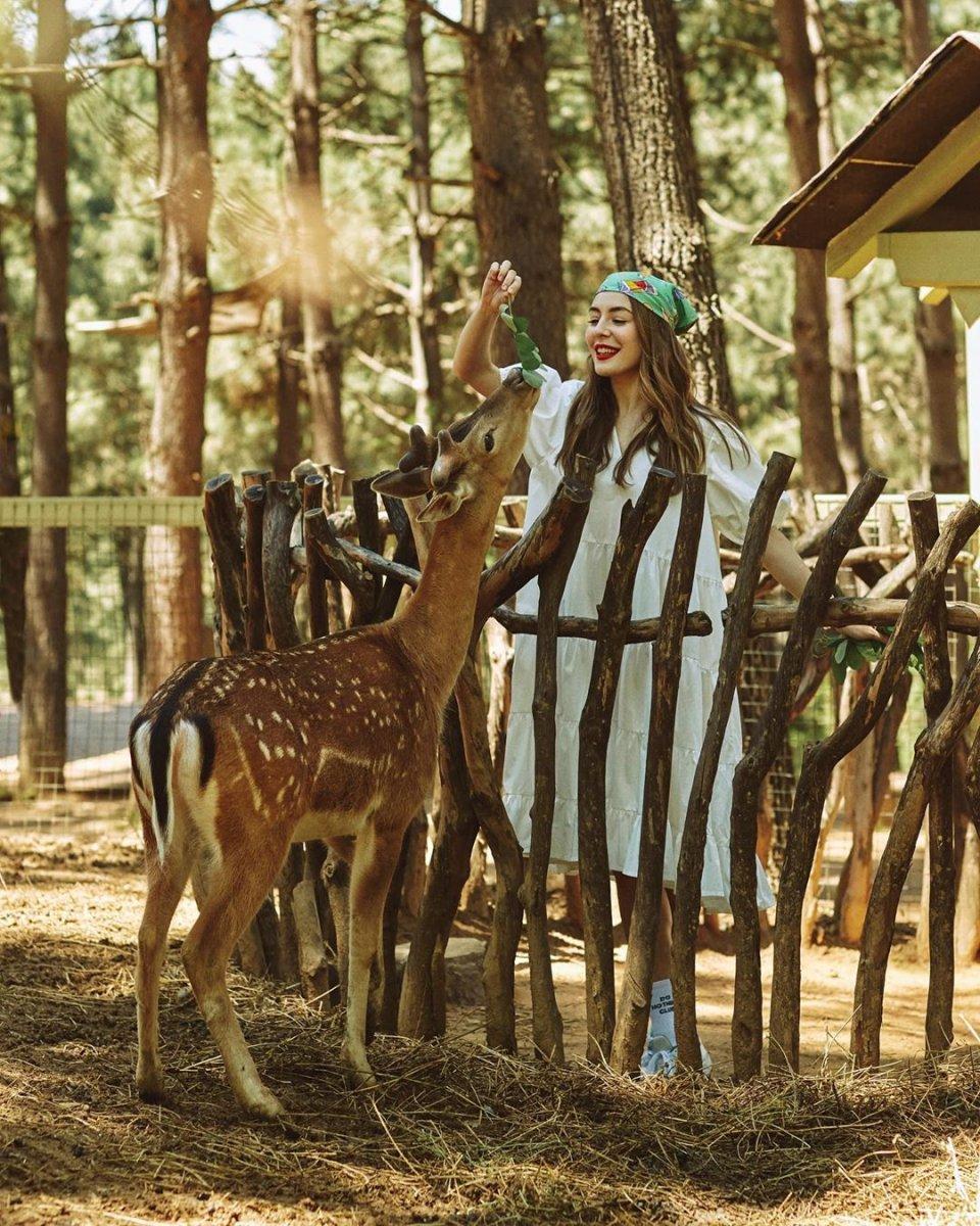 Ege Kökenli'nin Instagram paylaşımları