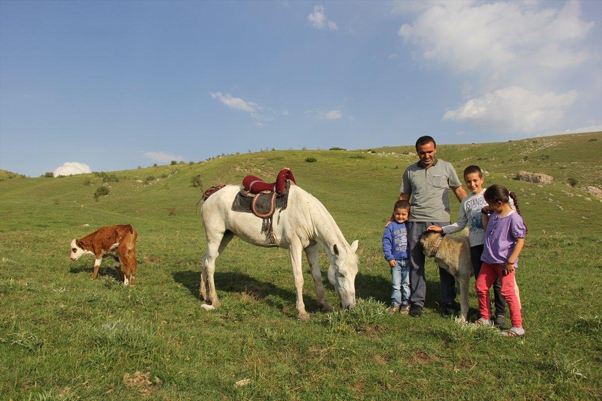 Sivas'ta annesiz danayı at emziriyor