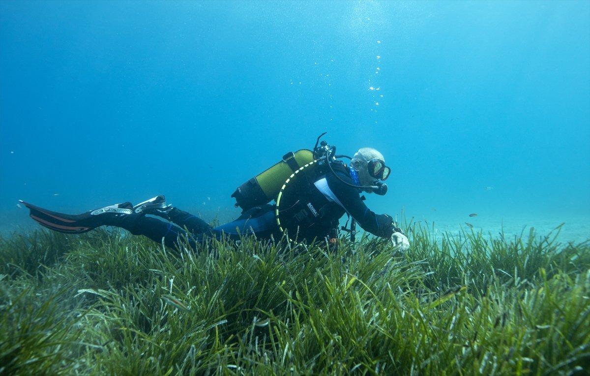 Karaburun'un su altı güzellikleri
