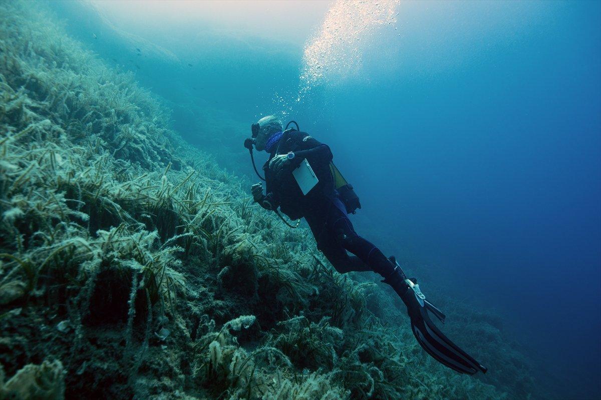 Karaburun'un su altı güzellikleri
