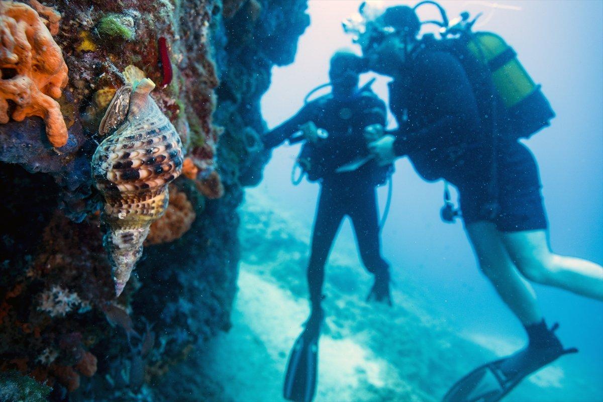 Karaburun'un su altı güzellikleri
