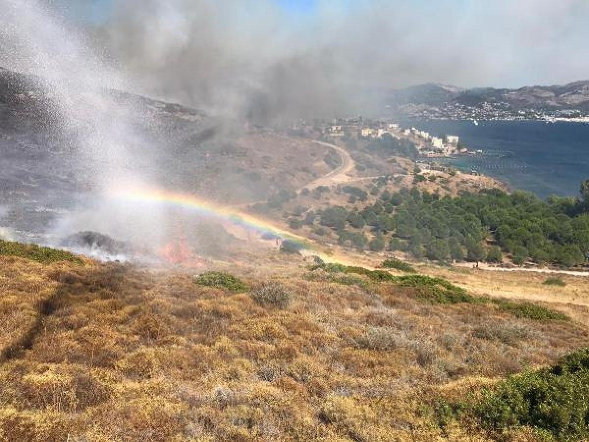 Bodrum'da makilik alandaki yangın söndürüldü