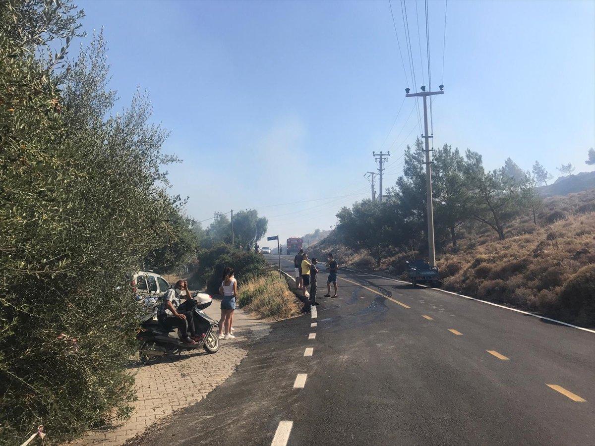 Bodrum'da makilik alandaki yangın söndürüldü
