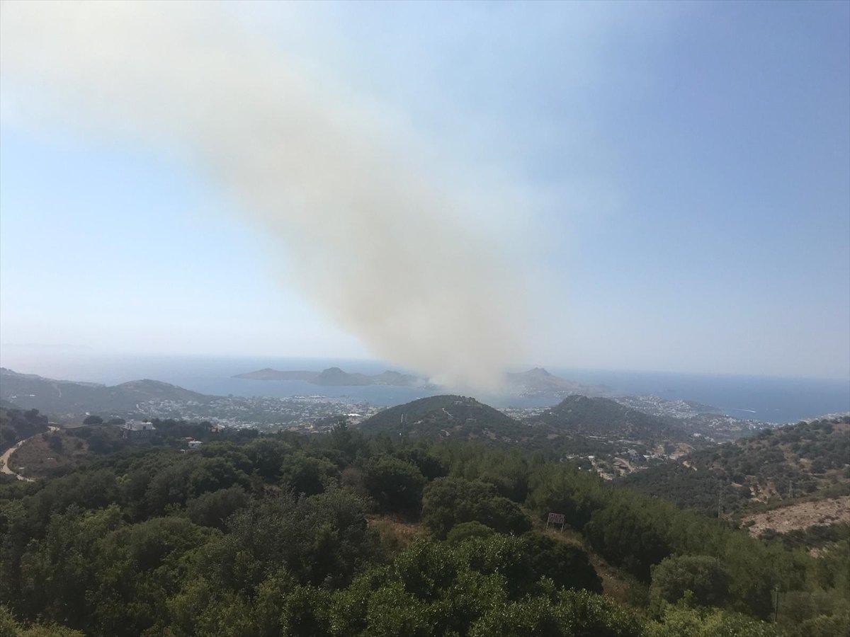 Bodrum'da makilik alandaki yangın söndürüldü