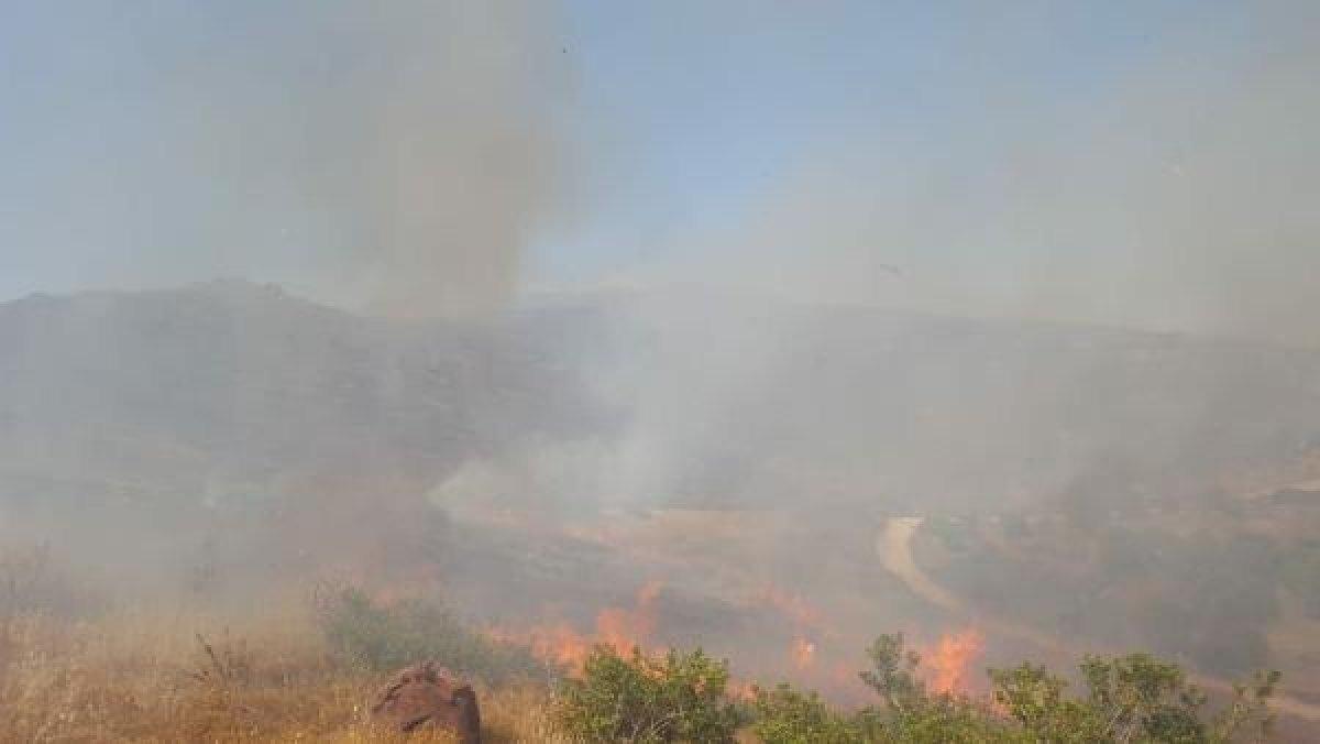 Bodrum'da makilik alandaki yangın söndürüldü