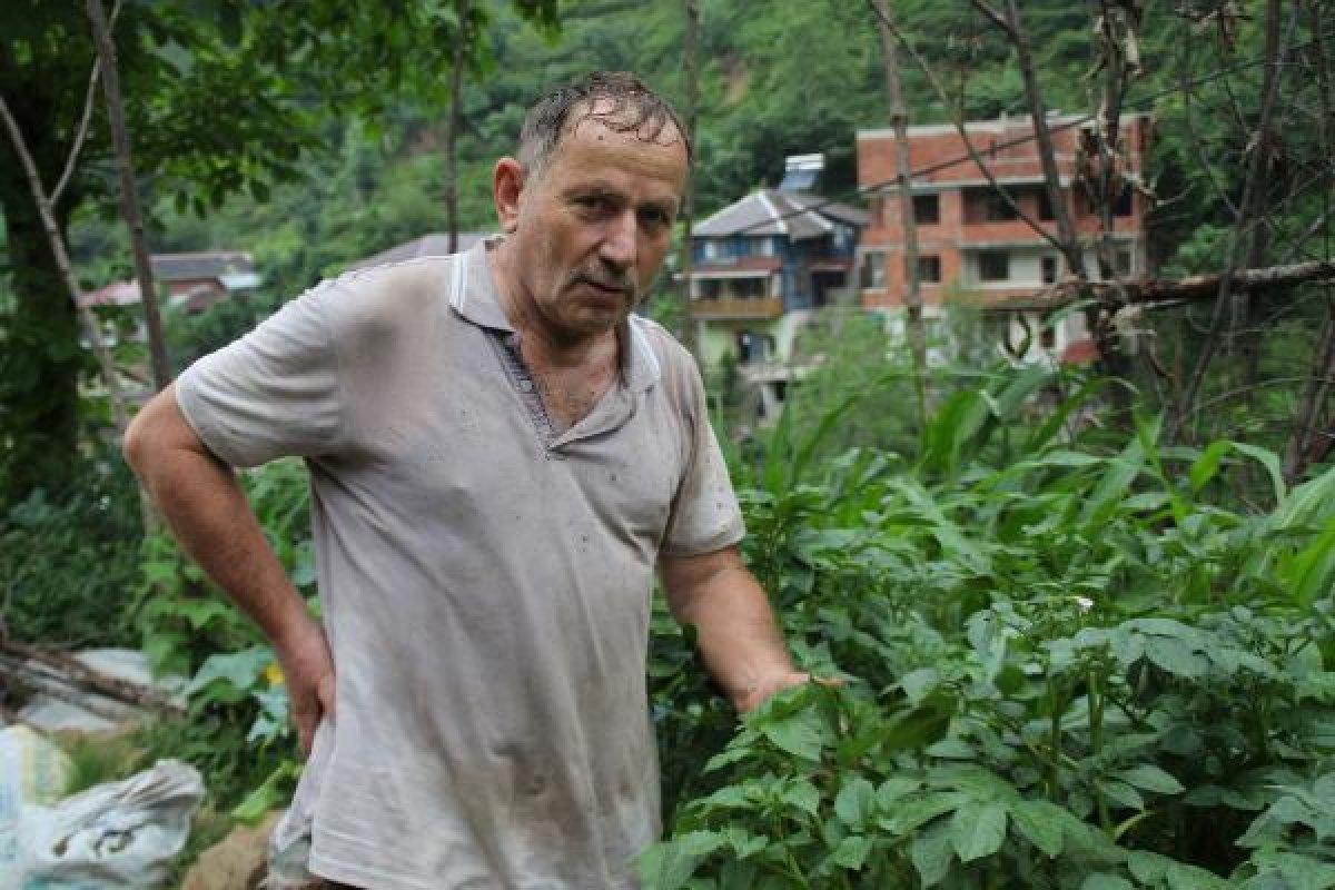 Karadeniz'de vampir kelebek kabusu