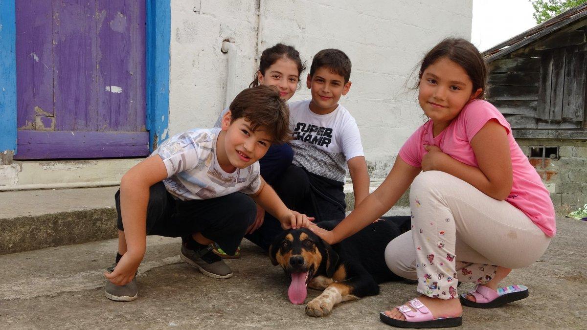 Ordu'nun Yazlık Mahallesi’nde herkesin soyadı Sarı