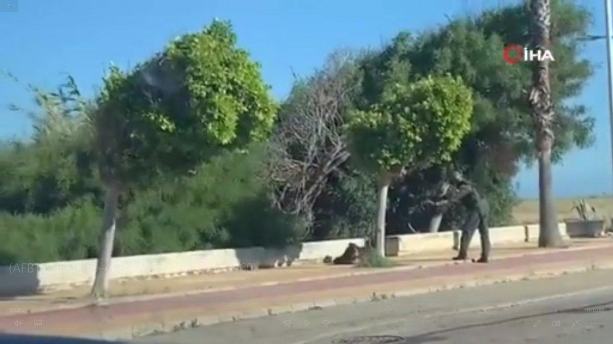 İspanya'da filmleri aratmayacak uyuşturucu operasyonu