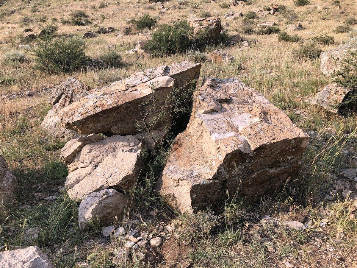 Iğdır'da bulunan yaprak fosilleri incelenmeyi bekliyor