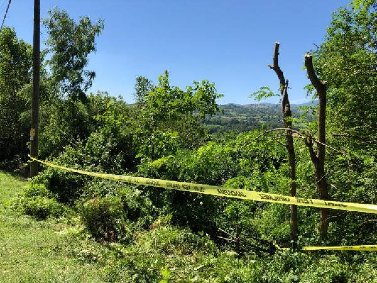 Zonguldak'ta tartıştığı kardeşi ile yeğenini öldürdü