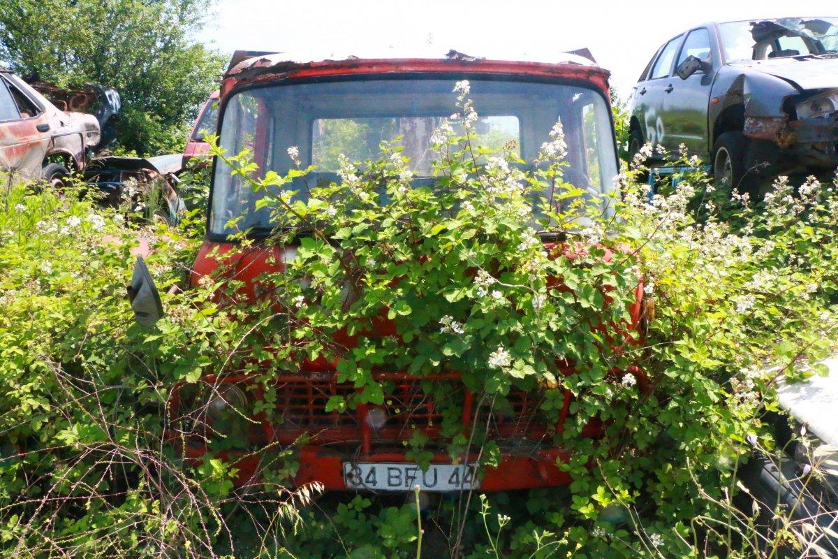 Servet değerindeki otomobiller otoparkta çürüyor